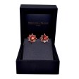 Bijoux anciens - Boucles d'oreilles dormeuses marguerites grenats