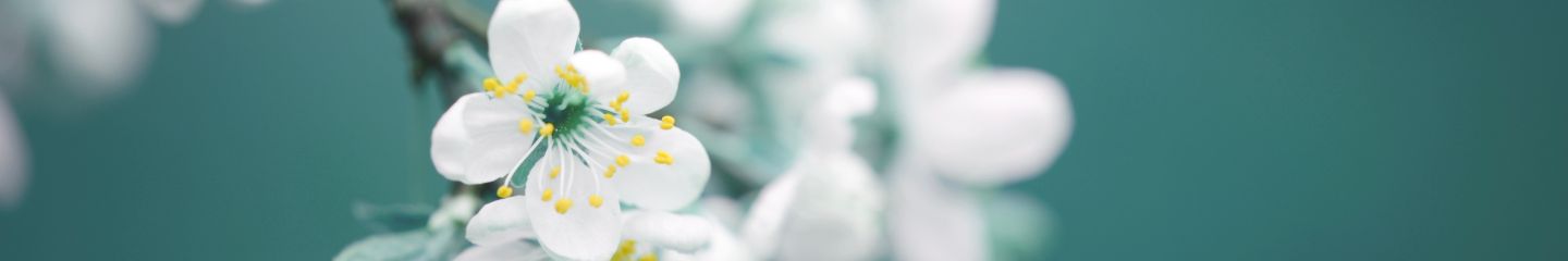 Acheter et vendre des bijoux anciens ou d'occasion, des actes écoresponsables